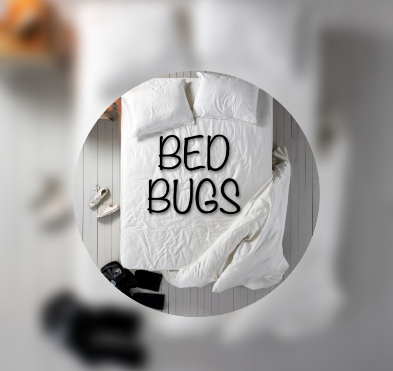 How long can bed bugs live in an empty house?