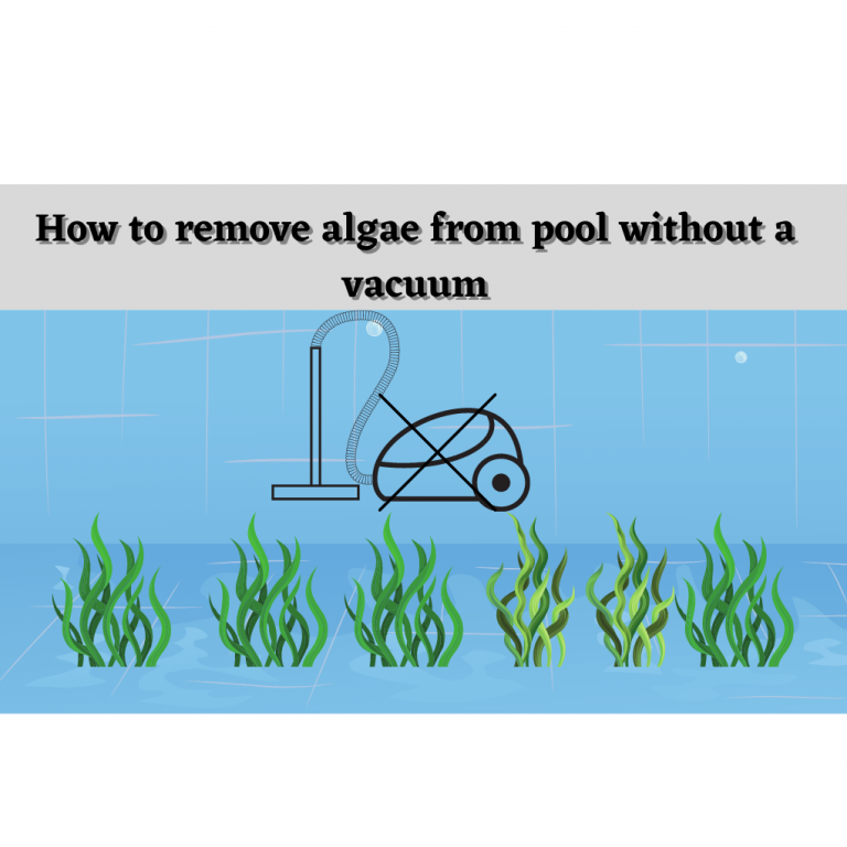 How to remove algae from pool without a vacuum